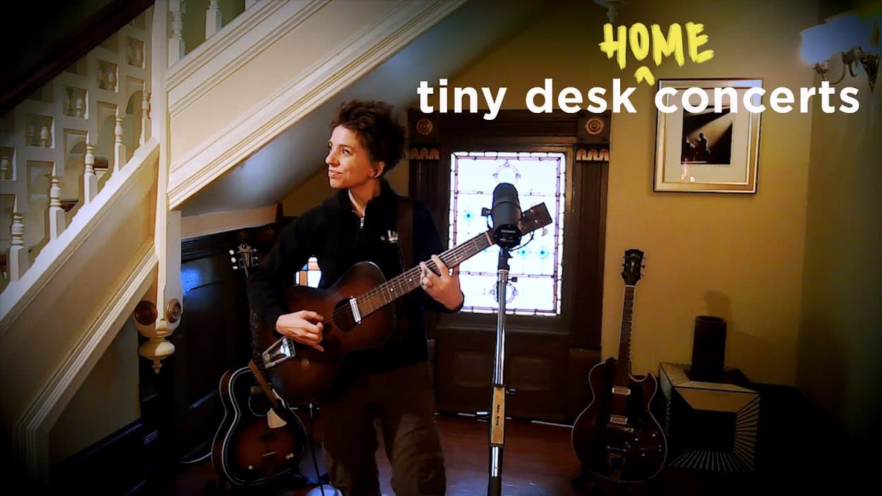Ani DiFranco